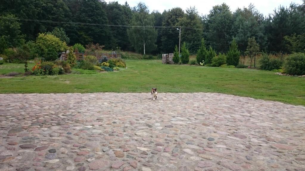 Modrzewiowa Chata Zaborze  Esterno foto